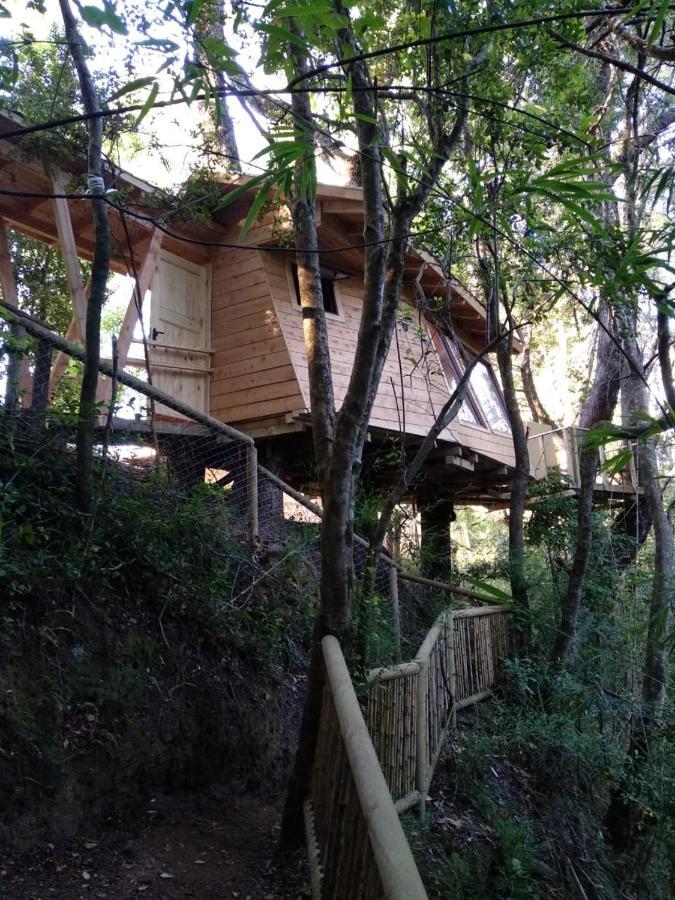 Cabanas Bosques De Loncotraro Hotel Villarrica Exterior foto